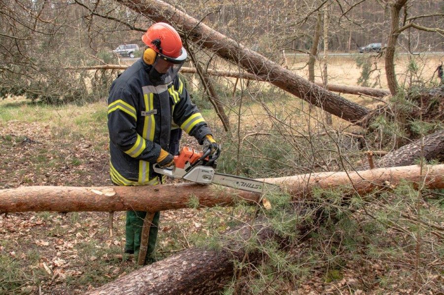Kettensäge im Einsatz