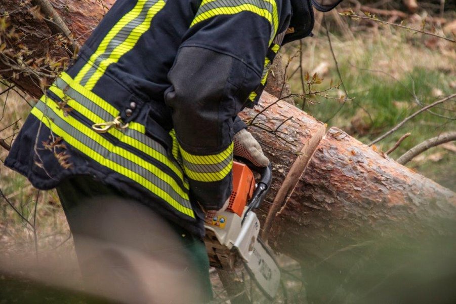 Kettensäge im Einsatz